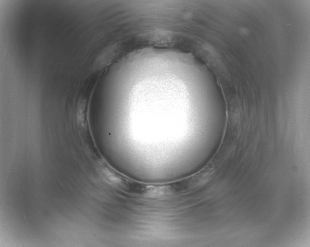 X0000071390185200607071917