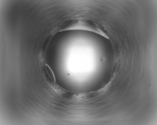 X0000071390186200607071917