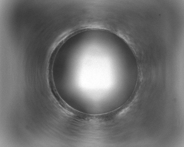 X0000071390199200607071917