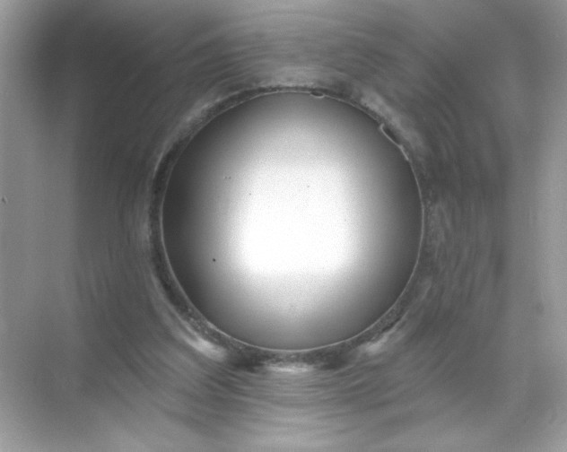 X0000071390203200607071917