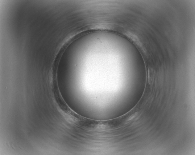 X0000071390204200607071917