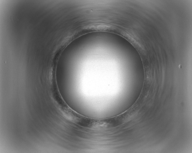 X0000071390206200607071917