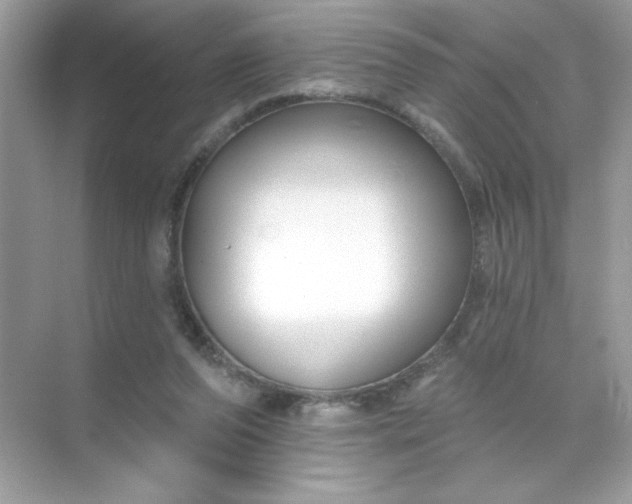 X0000071390208200607071917