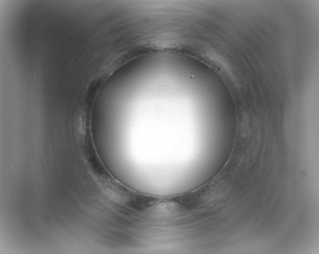 X0000071390210200607071916