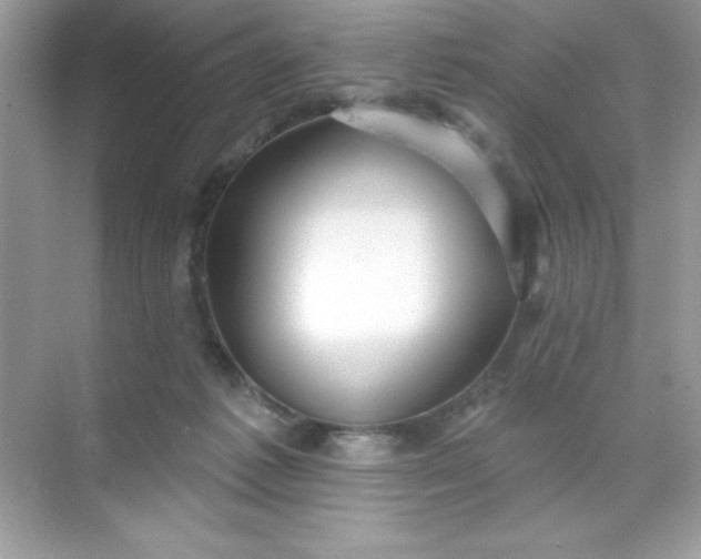 X0000071390221200607071916