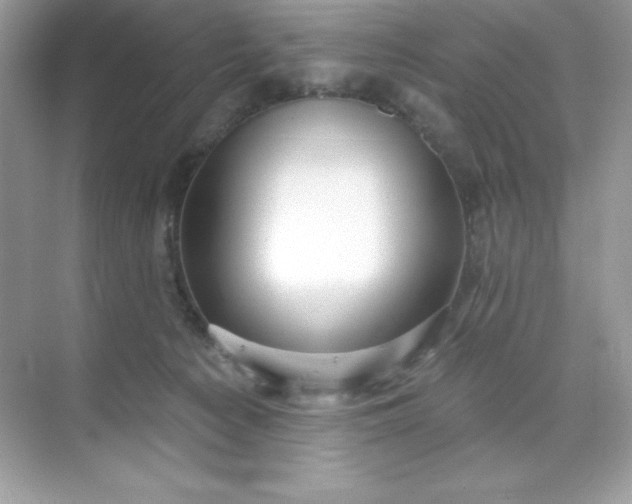 X0000071390225200607071916