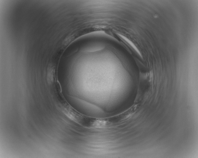 X0000071390227200607071916