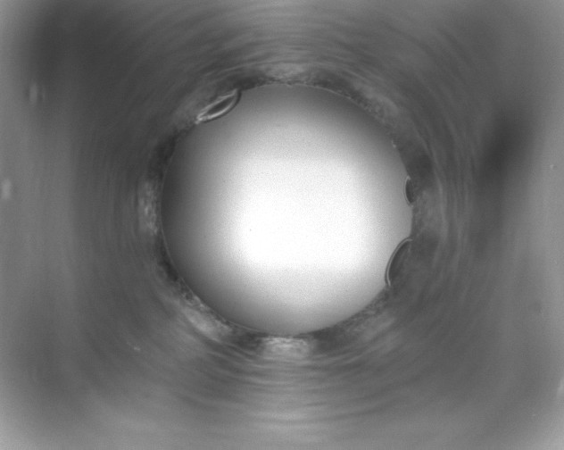 X0000071390234200607071916