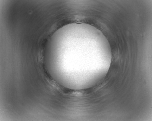 X0000071390236200607071916