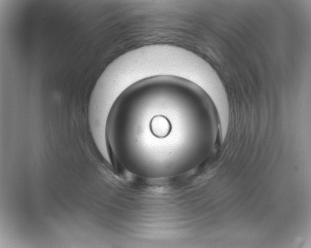 X0000071390237200607071916