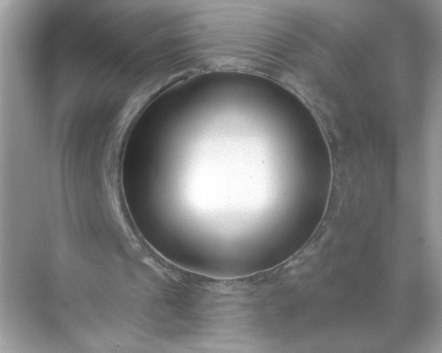 X0000071390241200607071915