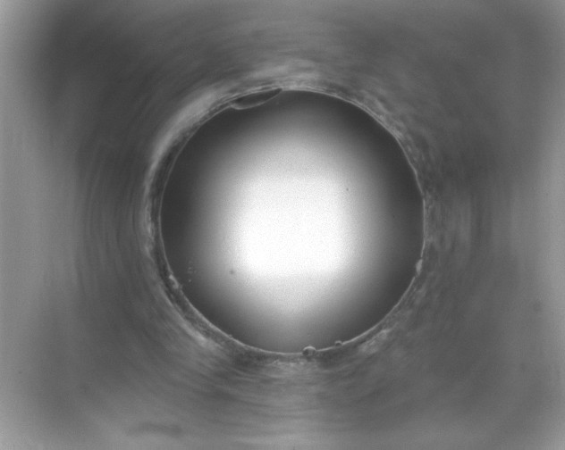 X0000071390245200607071915