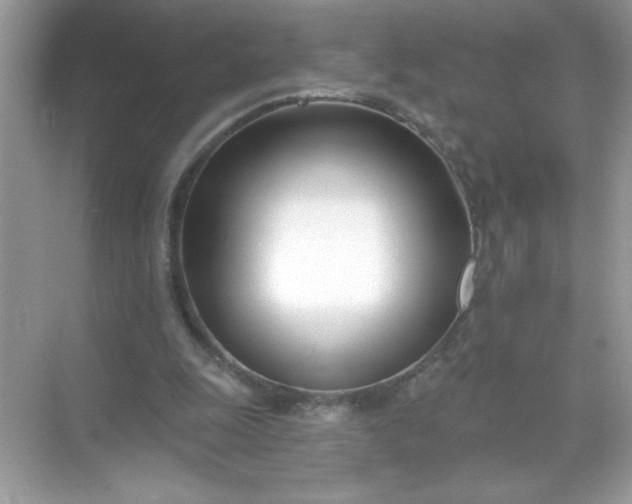 X0000071390247200607071915