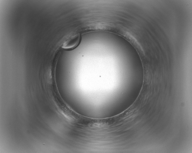 X0000071390251200607071915