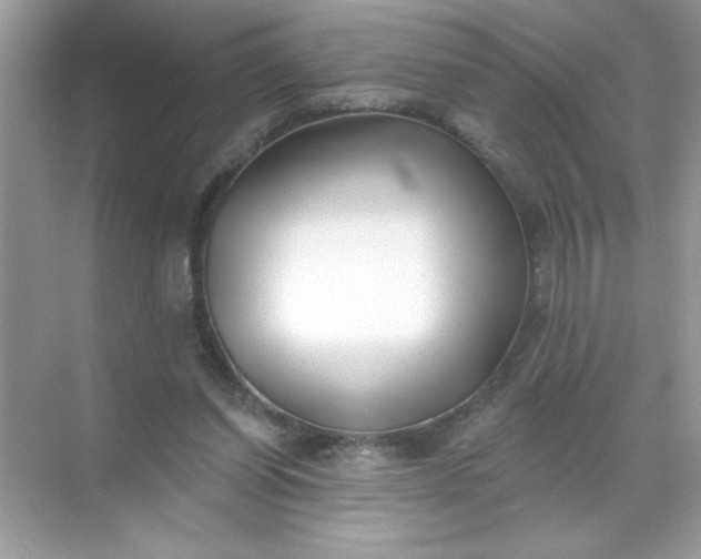 X0000071390254200607071915