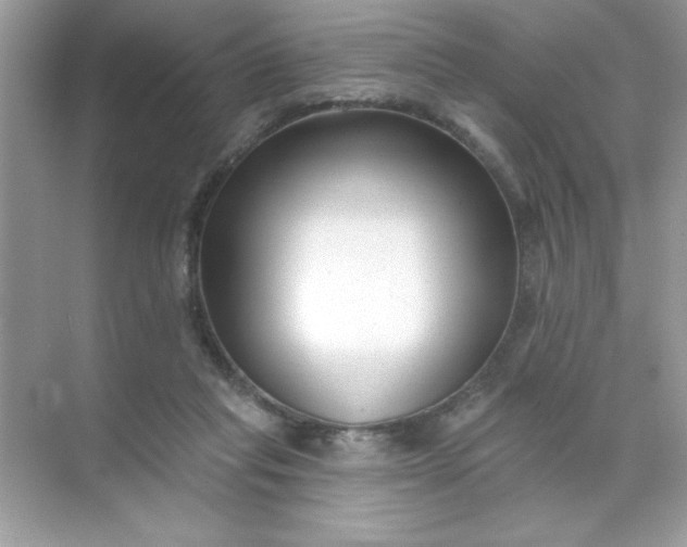 X0000071390261200607071916