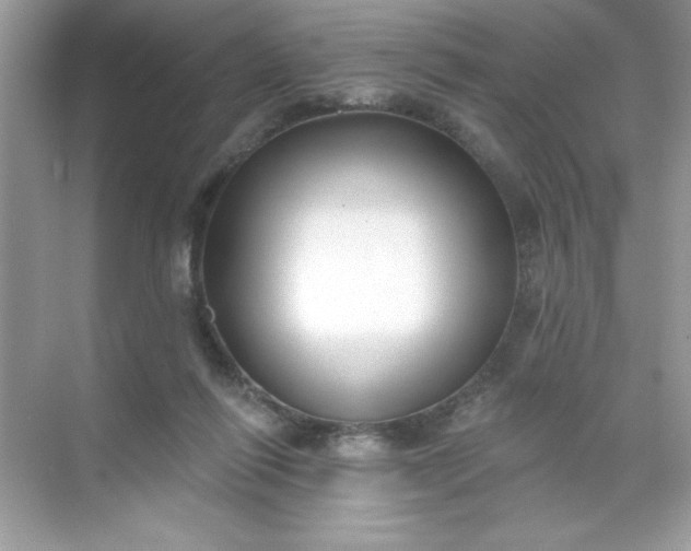 X0000071390262200607071916