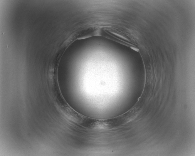 X0000071390263200607071916