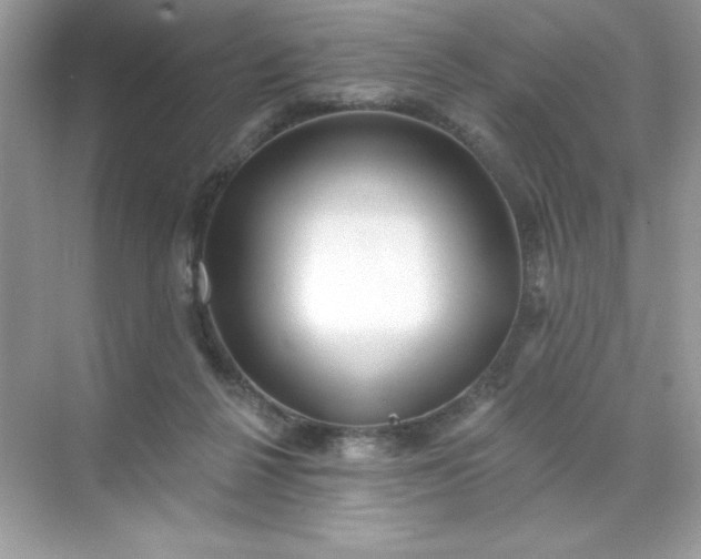 X0000071390264200607071916