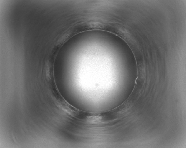 X0000071390266200607071916