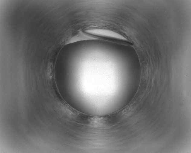 X0000071390273200607071916