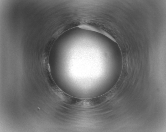 X0000071390276200607071916