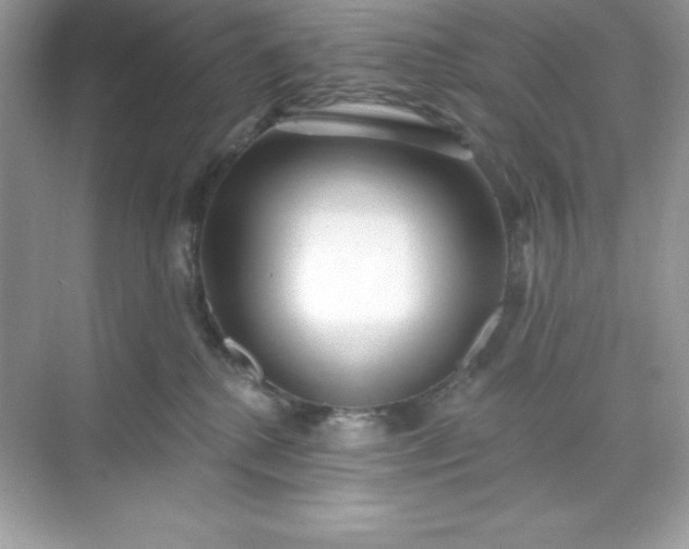 X0000071390280200607071916