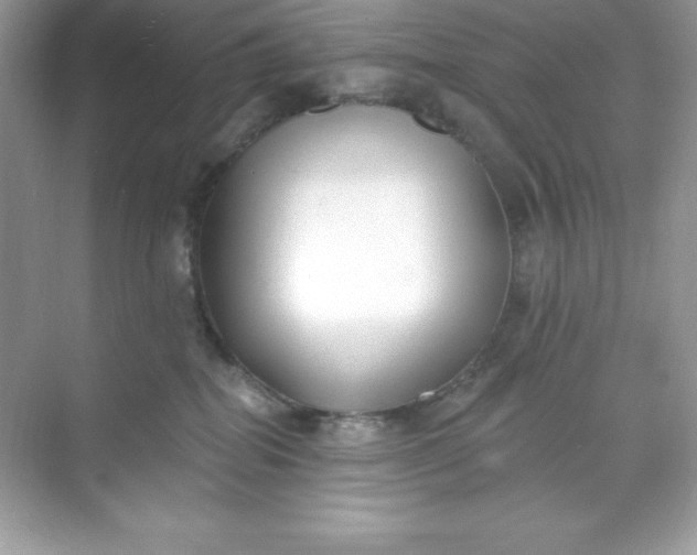 X0000071390282200607071916