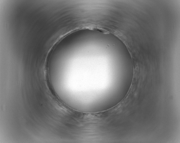 X0000071390290200607071915