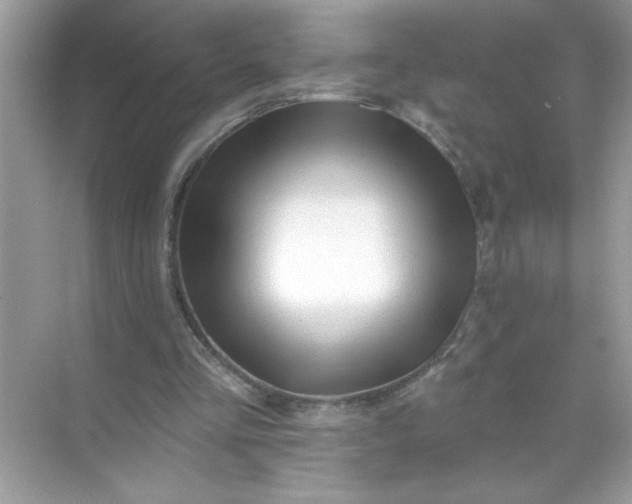X0000071390293200607071915