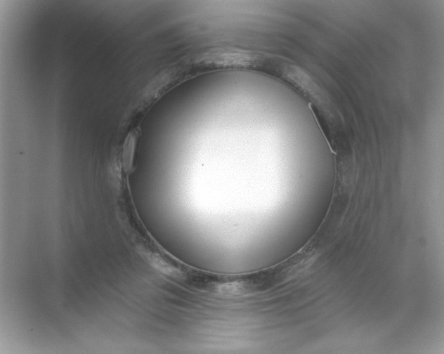 X0000071390309200607071915