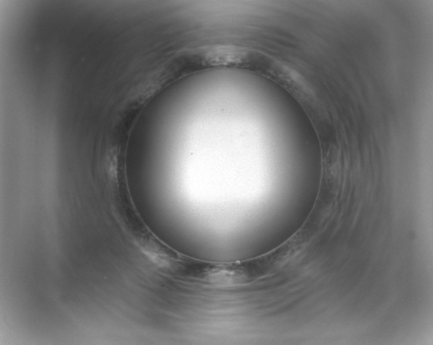 X0000071390315200607071915