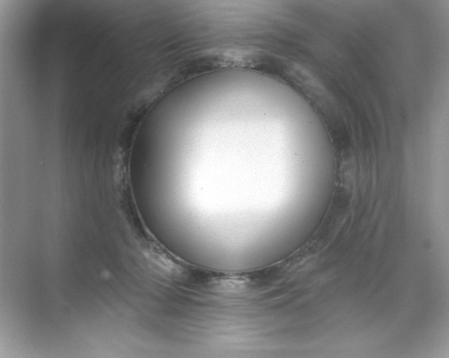 X0000071390318200607071915
