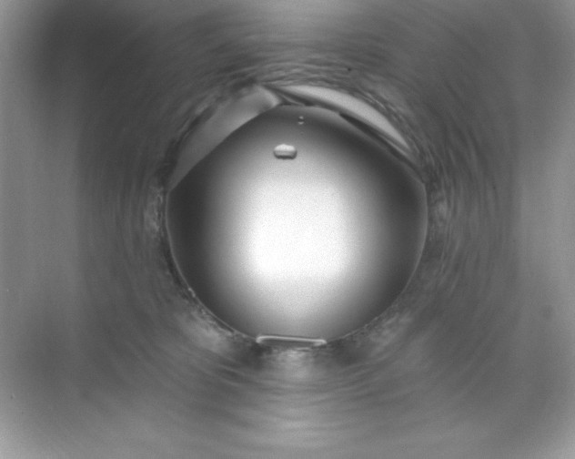 X0000071390325200607071915