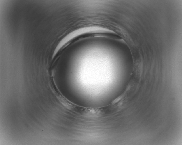 X0000071390329200607071914