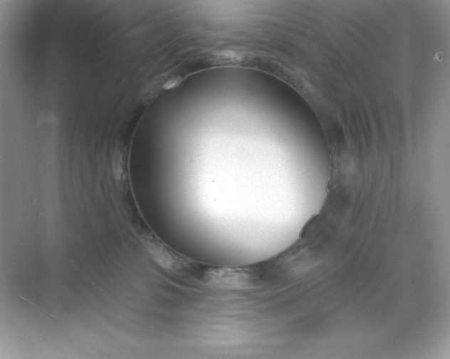 X0000071390331200607071914