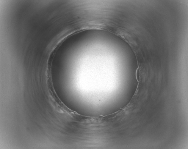 X0000071390338200607071914