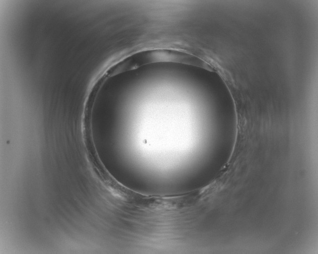 X0000071390340200607071914