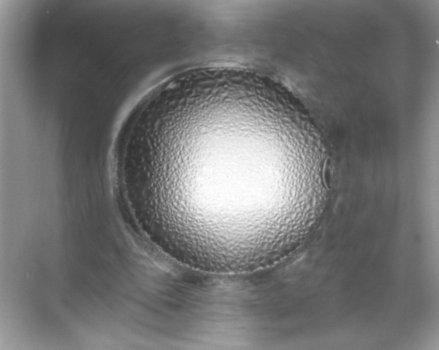 X0000071390343200607071914