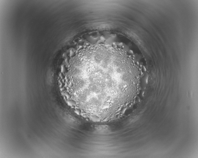 X0000071390355200607071914