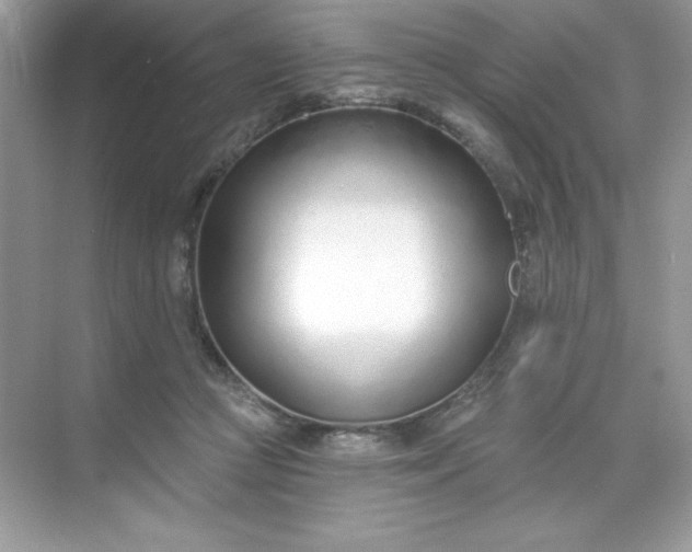 X0000071390361200607071914