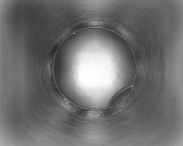 X0000071390373200607071914