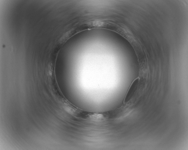 X0000071390374200607071914