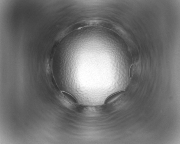 X0000071390381200607071914