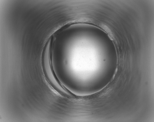 X0000071390389200607071913