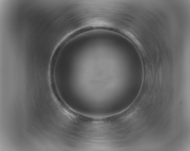 X0000071390391200607071913