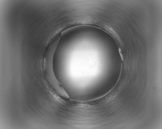 X0000071390393200607071913
