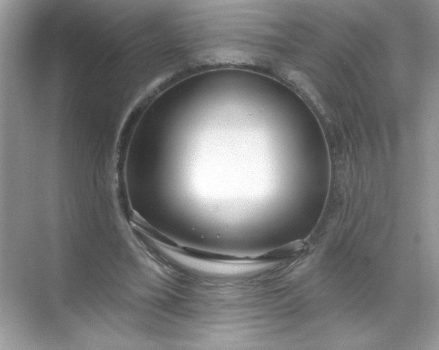 X0000071390395200607071913