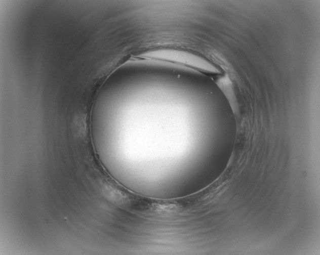X0000071390401200607071913