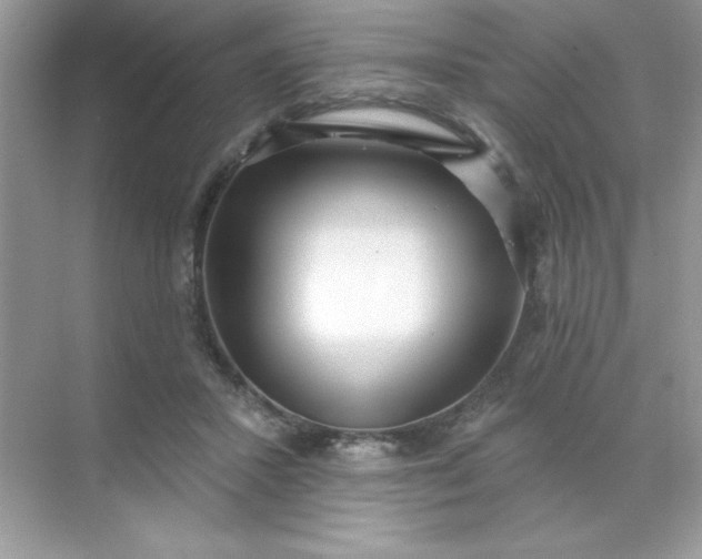 X0000071390407200607071913